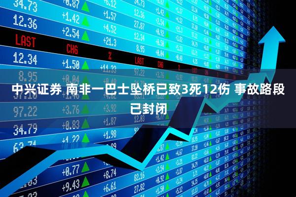 中兴证券 南非一巴士坠桥已致3死12伤 事故路段已封闭