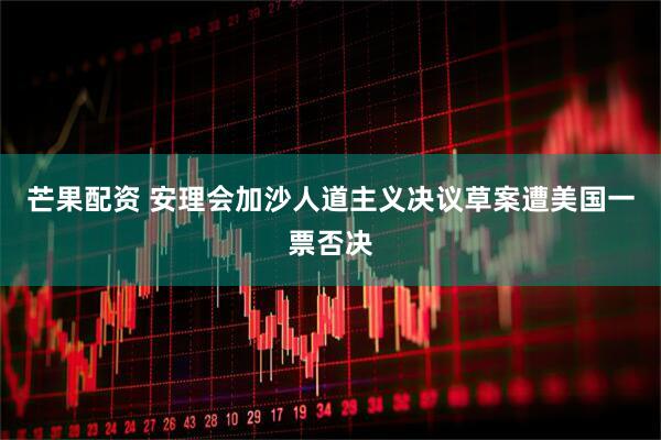 芒果配资 安理会加沙人道主义决议草案遭美国一票否决