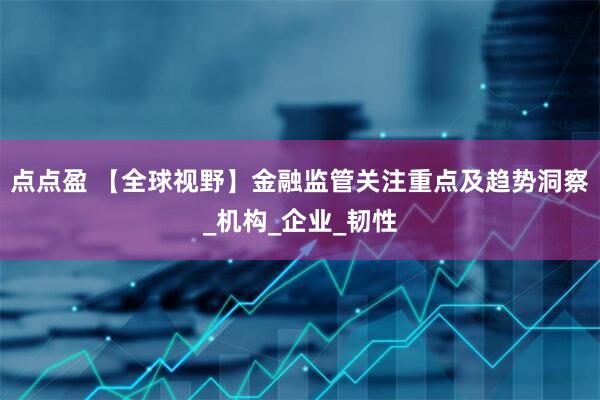 点点盈 【全球视野】金融监管关注重点及趋势洞察_机构_企业_韧性