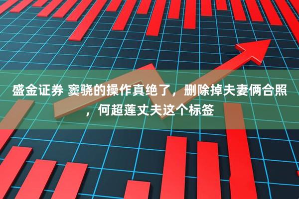 盛金证券 窦骁的操作真绝了，删除掉夫妻俩合照，何超莲丈夫这个标签