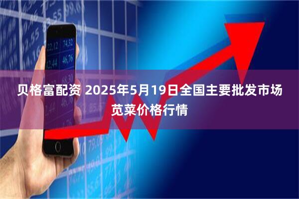 贝格富配资 2025年5月19日全国主要批发市场苋菜价格行情
