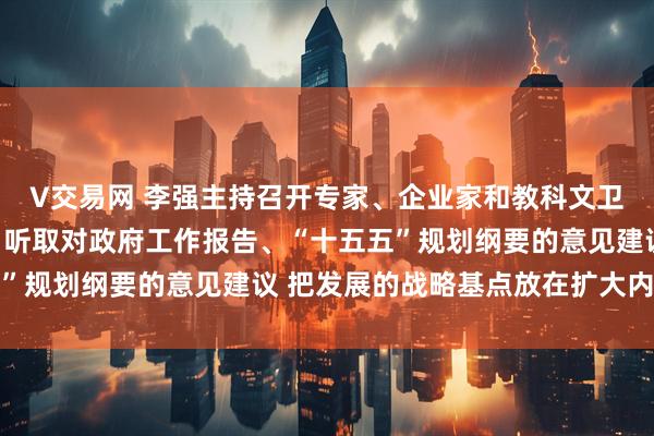 V交易网 李强主持召开专家、企业家和教科文卫体等领域代表座谈会，听取对政府工作报告、“十五五”规划纲要的意见建议 把发展的战略基点放在扩大内需上