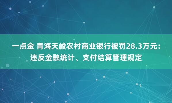 一点金 青海天峻农村商业银行被罚28.3万元：违反金融统计、支付结算管理规定