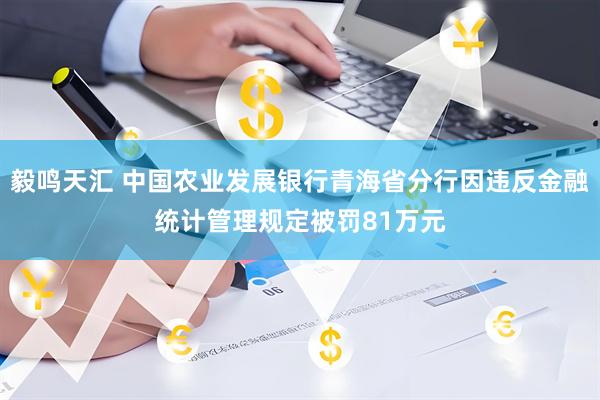 毅鸣天汇 中国农业发展银行青海省分行因违反金融统计管理规定被罚81万元